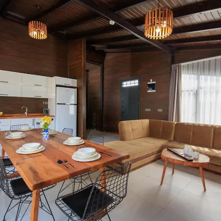 Σπίτι διακοπών Sahincanaturelvillas *
